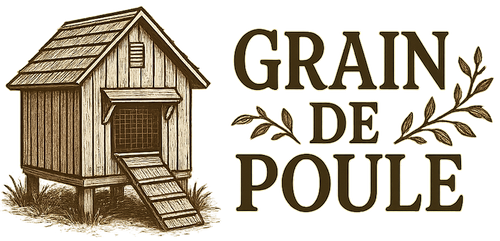 Grain de Poule